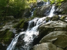 PICTURES/Shenandoah National Park/t_Dark Hollow Falls1 - Rose River.JPG